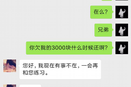 桓台为什么选择专业追讨公司来处理您的债务纠纷？